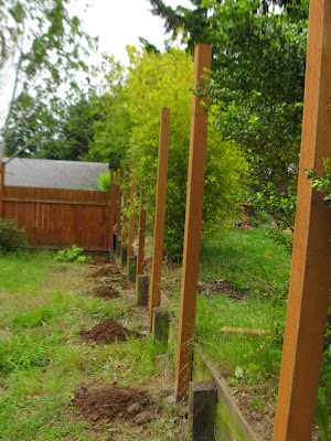 Fence posts are IN