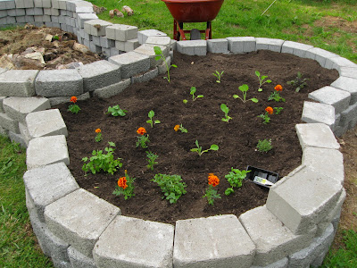 Just some photos from the garden