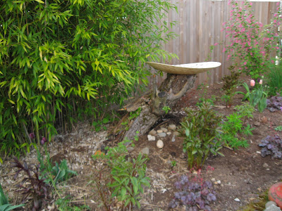 And suddenly we have a garden!