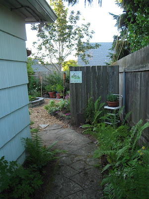 Some random updates from the garden
