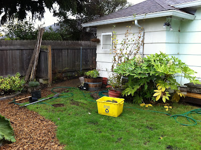 And then we built a swimming pool