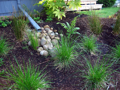 Hortlandia: The Hardy Plant Society of Oregon’s plant show