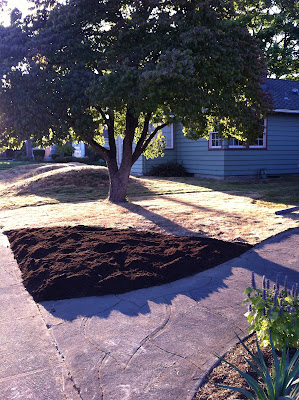 The saddest new planting bed ever