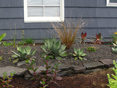 Agave update