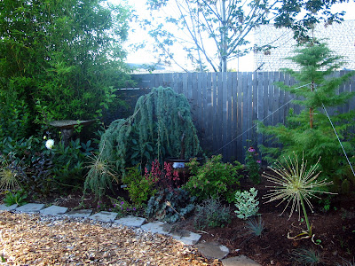 Blank slates and fun natives I’ll never plant again