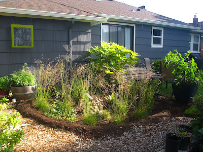 Retooling the back rain garden