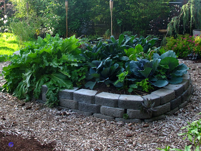The edible garden