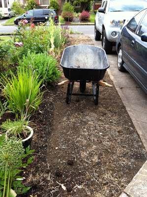 I made you a cedar chip wasteland