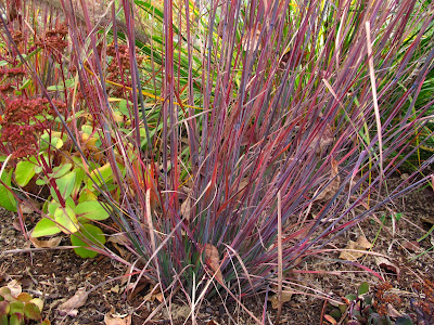 Rules I have flouted, grasses I have loved