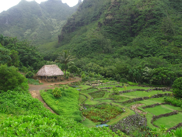 A visit to the Limahuli Garden