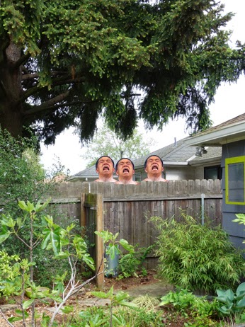 Agita in the garden