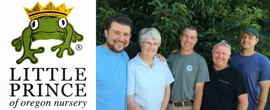 A visit to Little Prince of Oregon Nursery