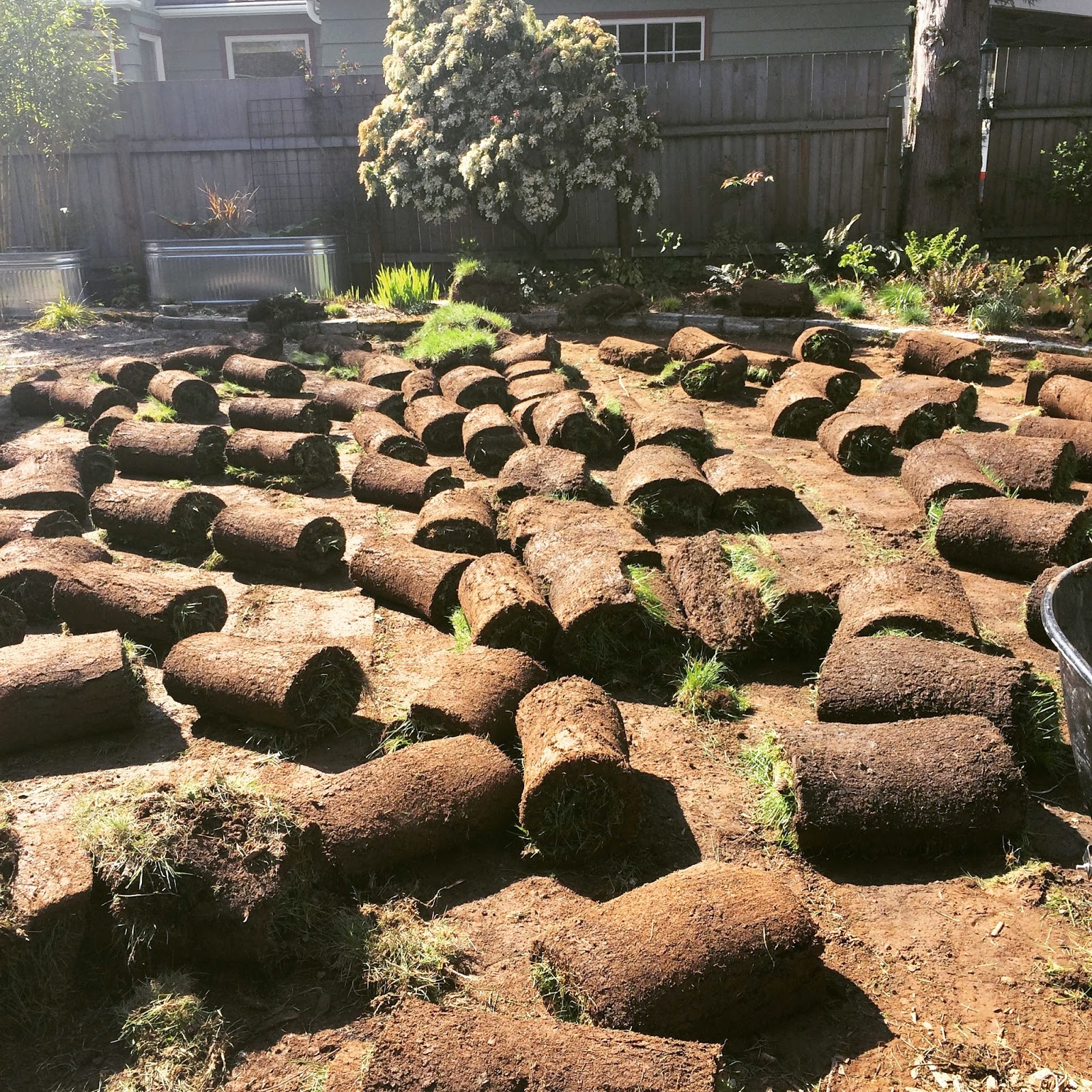 Hardscaping is hard.