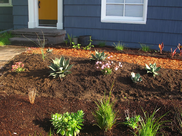 Book giveaway! Fearless Gardening by Loree Bohl